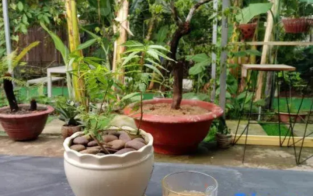Homestay Golf & Coffee - Bi Phu Quoc
