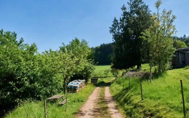 Comfy Apartment in Salmensbach near River