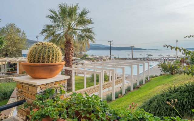 Marmari Bay - Evia
