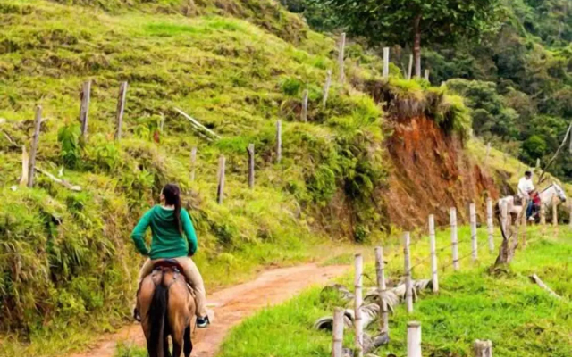 EcoLife Calima