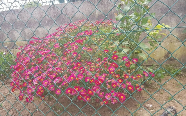 Posada carral cabarceno