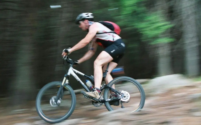 Landhaus Zu den Rothen Forellen