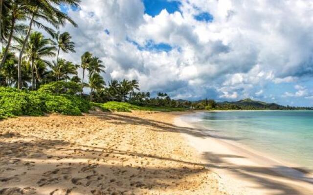 Brand New Kailua Beach