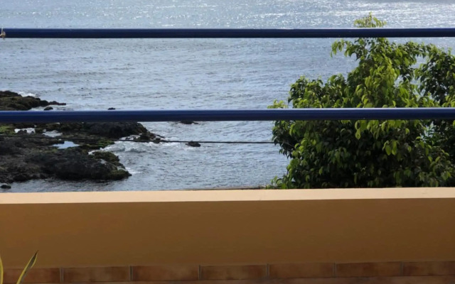 Splendid Private Guest Suite with Terrace & Ocean View