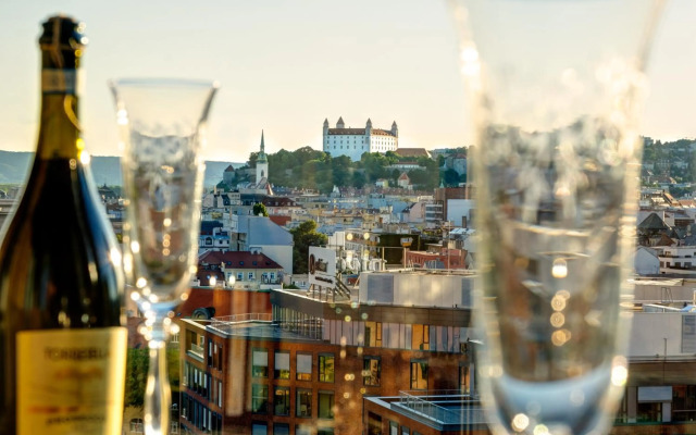 SKY PARK Central City Downtown