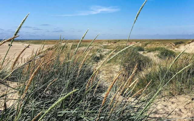 6 Person Holiday Home in Romo