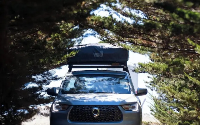 The Shepherd Company