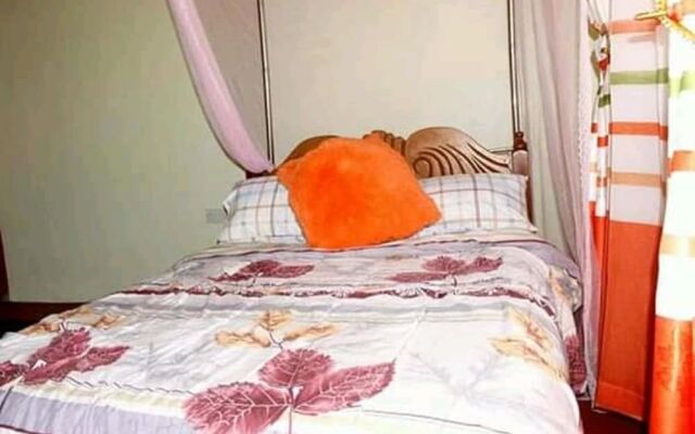 Wilbert Dreams Resort