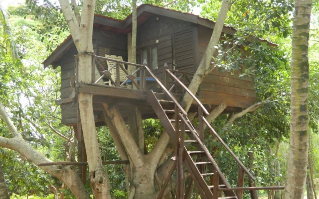 Fantasy Golf Resort