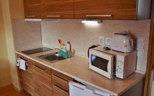 Apartmán Velké Losiny