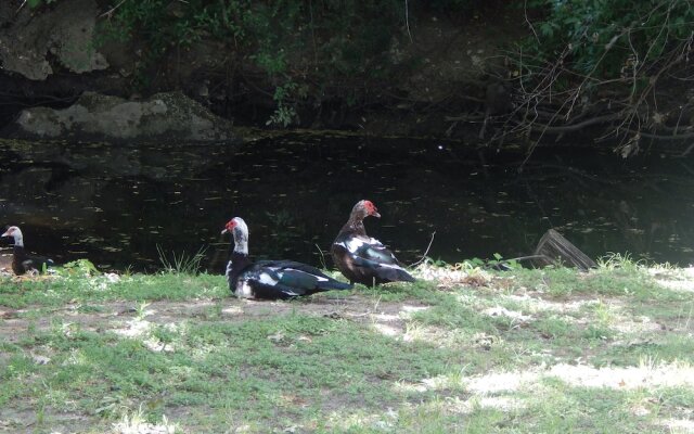 Fabulous Pristine Park Side Townhome