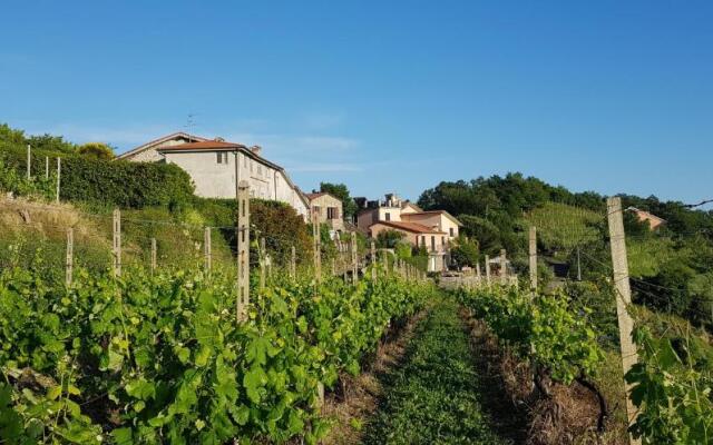Casale In Vigna, CinqueTerreCoast