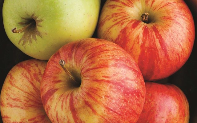 La Quinta Inn & Suites by Wyndham Wichita Airport