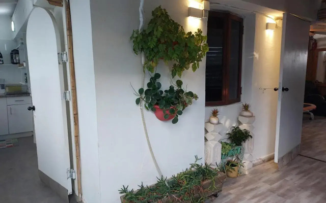 Roof APT W terrace garden,1BR 1BA