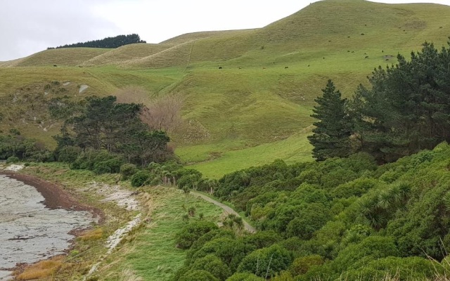 K'orca Cottage by the Sea – Outside – Kaikoura