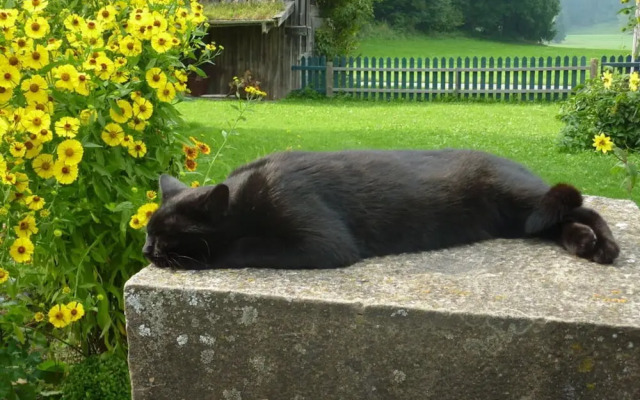 Apartment in Thuringia