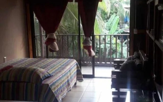 Hotel Cabinas y Tour Aaron Tortuguero