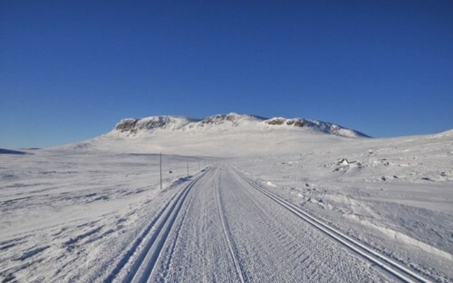 Havsdalsgrenda Apartments