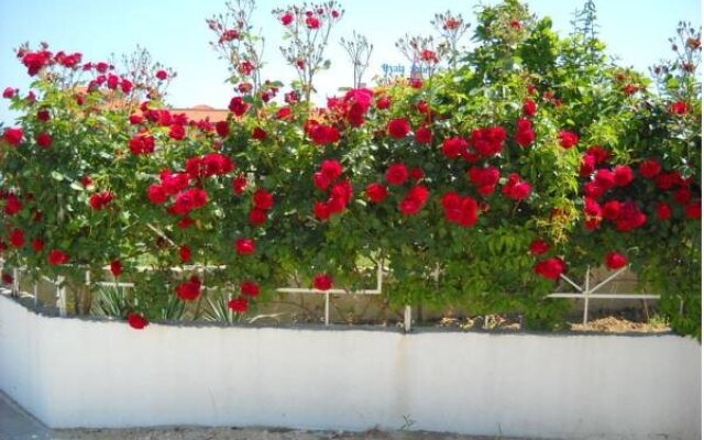 Sani Family Hotel