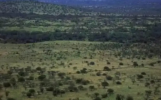 Voyager Ziwani Tented Camp