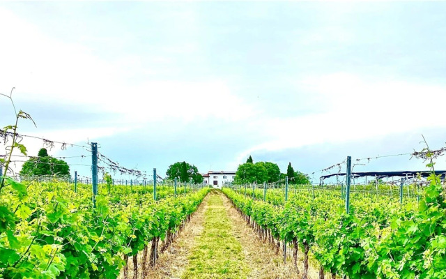 Tenuta EnGi