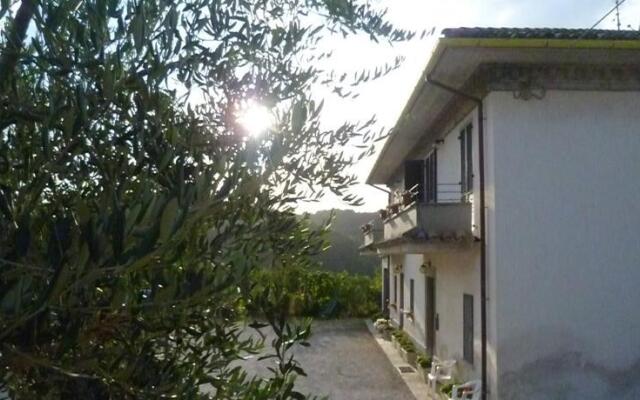 B&B La Pace tra gli Olivi