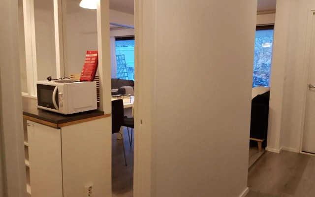 Lapland Spacious Apartment, Rovaniemi