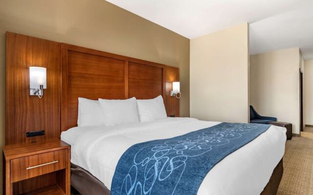 Comfort Suites Buda - Austin South