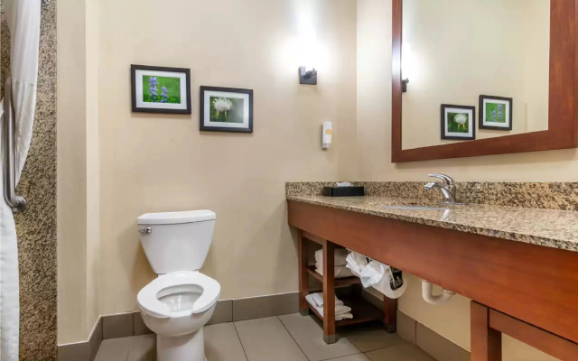 Comfort Suites Manhattan