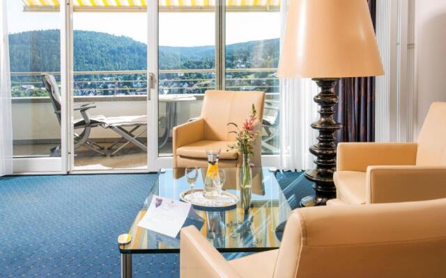 Schwarzwald Panorama