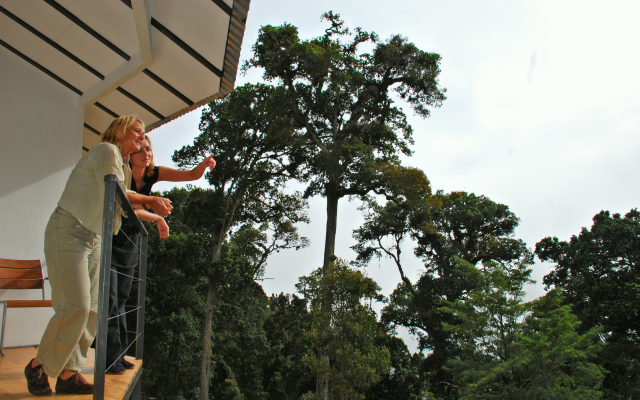 Dantica Cloud Forest Lodge