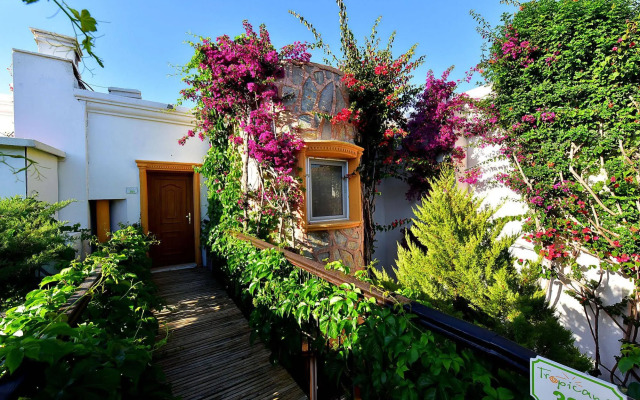 Tropicana Beach Hotel