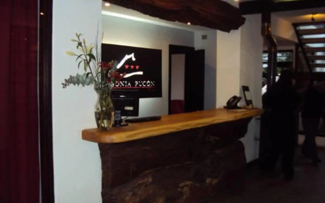 Hotel Newen