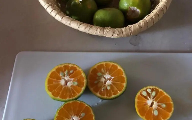 Casa Capirona 3 - Laguna Azul