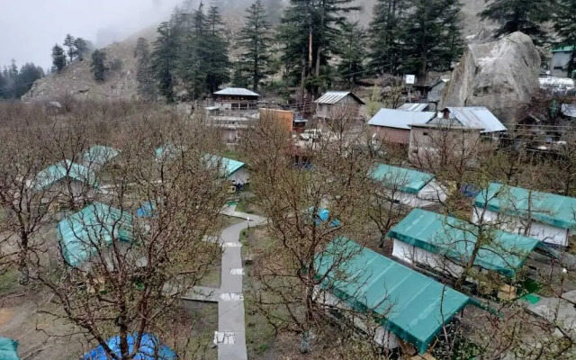 Apple Orchard Farm and Camping