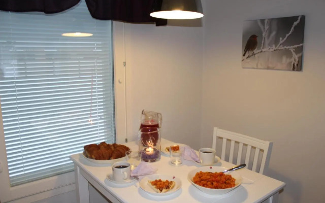 Lapland Koivusto Apartment