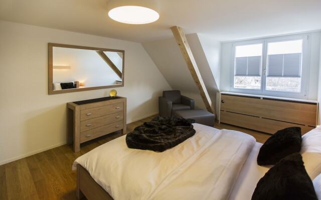 Nest - Klingelbergstrasse