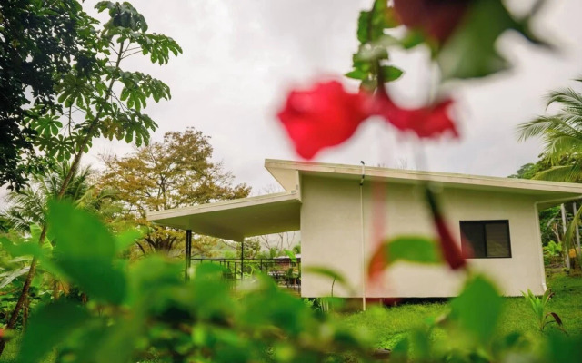 Villa Bruno - Terrace - Jungle - Birdwatching