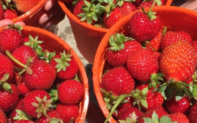 Almost Home Guest House