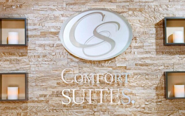 Comfort Suites Inn at Ridgewood Farm