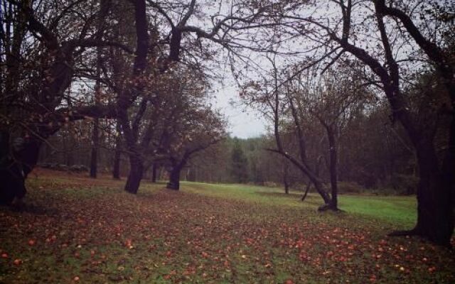 The Inn at Woodchuck Hill Farm
