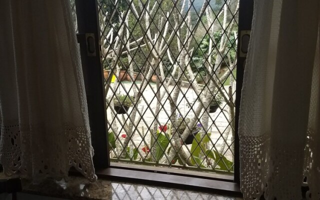 Suites em Meio a Mata Atlantica