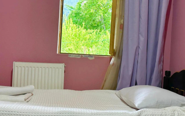 Mziuri Guest House