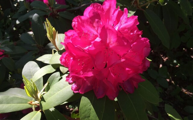 Sackville Bed & Breakfast