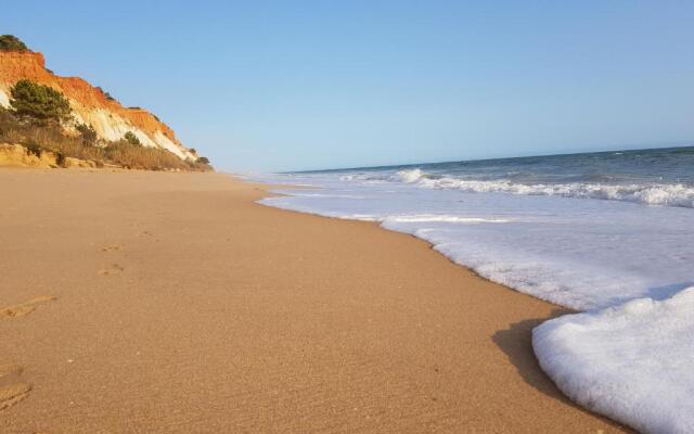 Excellent T2 apartment with pools 400m Falesia beach