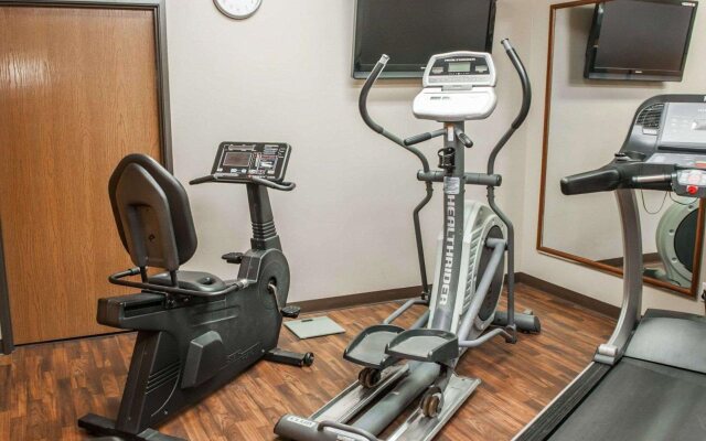 Comfort Suites Auburn near I-69