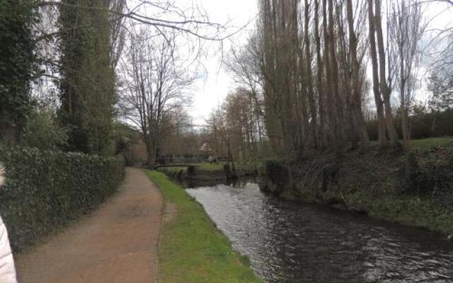 Aux Fleurs D'anemone