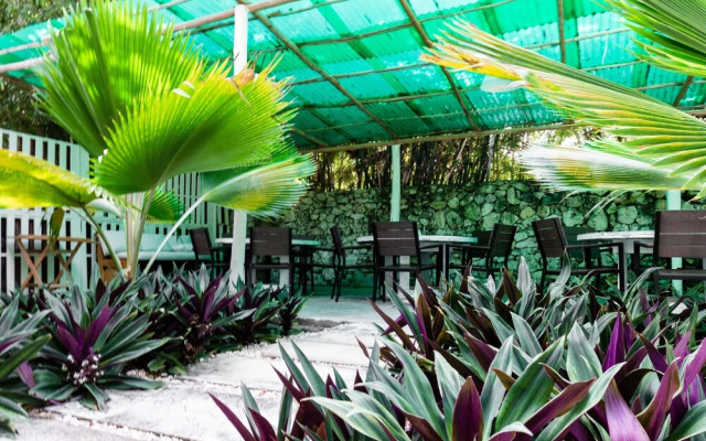 Riviera Punta Cana Eco Travelers House