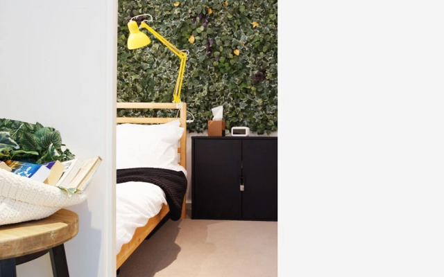 BHB Explore CBD on your Doorstep