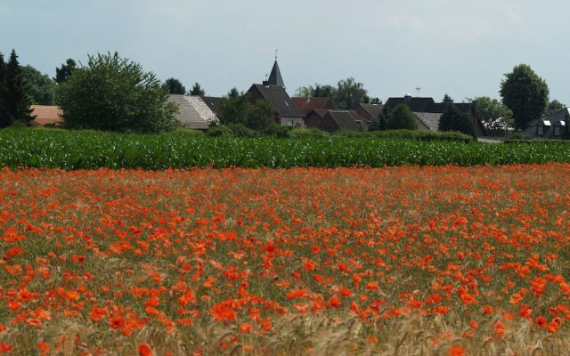 Hotel Haus Wilms